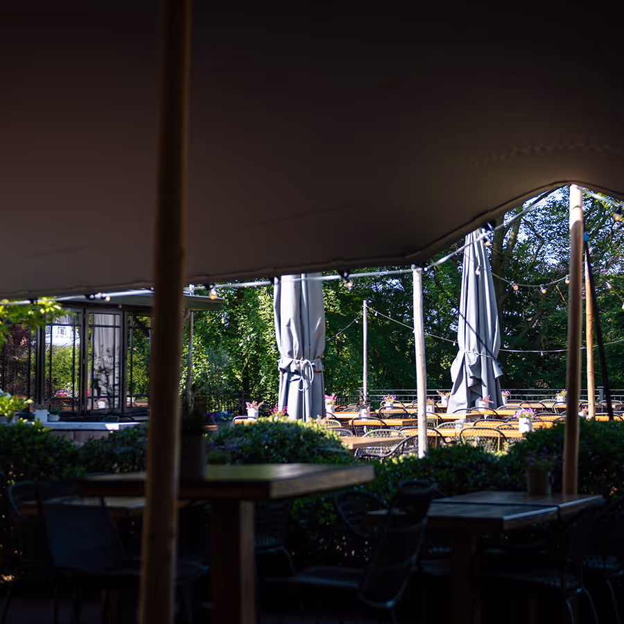 Terras