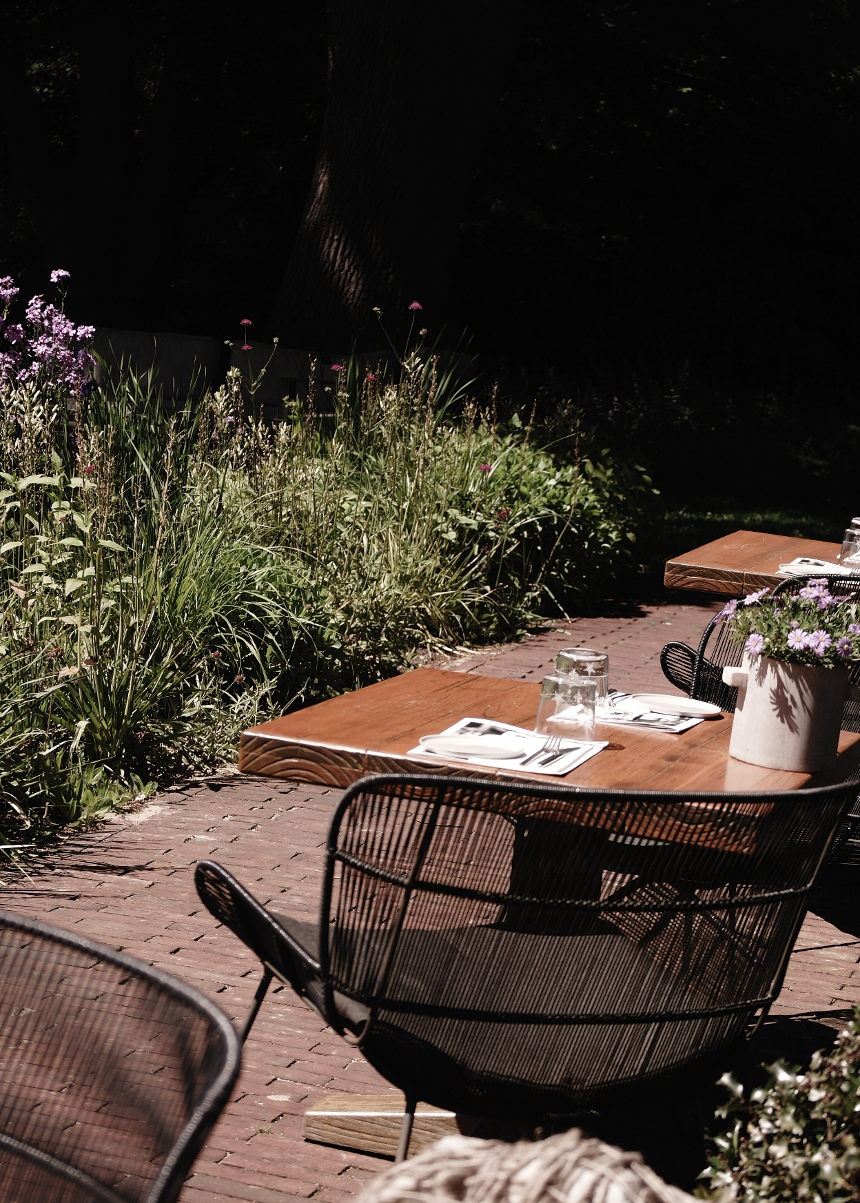Terras