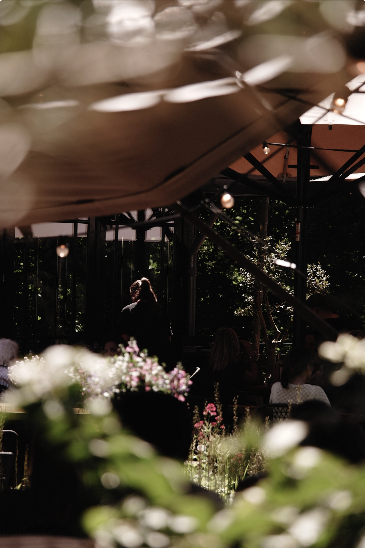 Terras