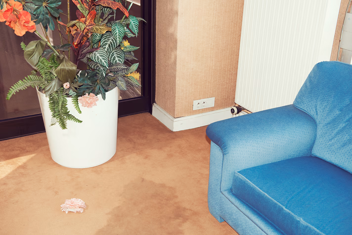 Carte blanche, pmu | le bal