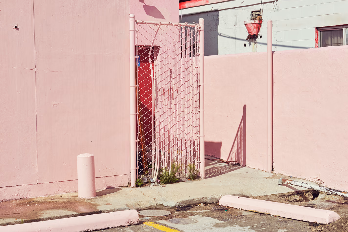 I drink | New Orleans