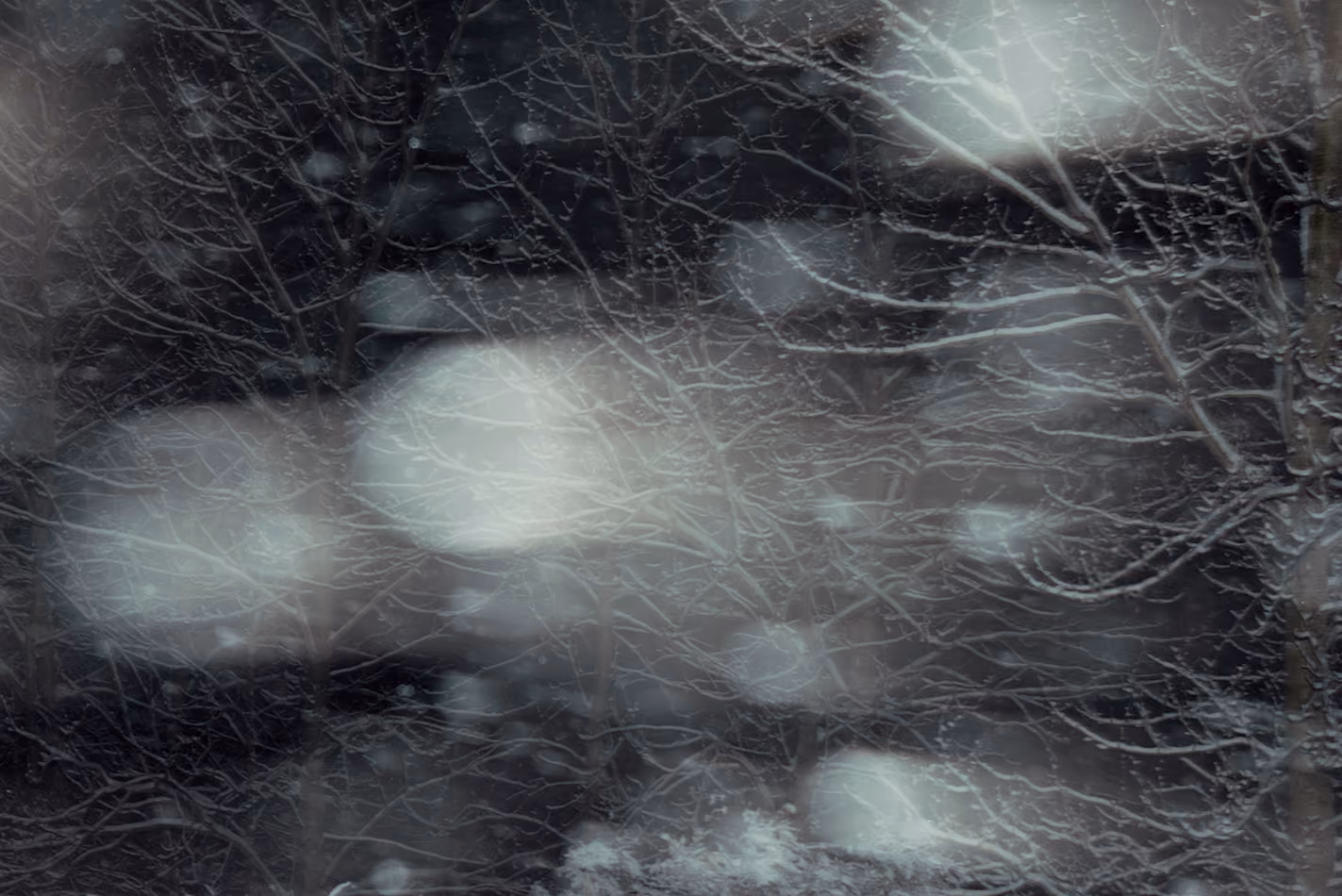Northern noir