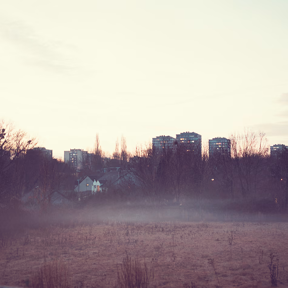 Landscapes