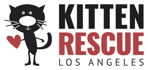 Kitten Rescue