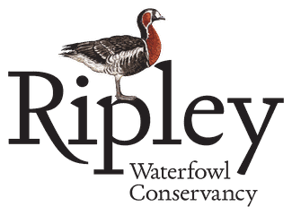 Ripley Waterfowl Conservancy