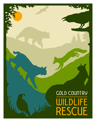 Gold Country Wildlife Rescue
