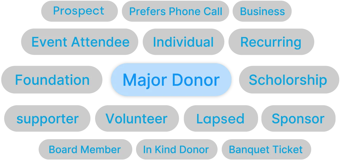 Donor Segmentation badges: shows different options to segment donors with grey badges. Middle badge is highlighted blue and says Major Donor. 