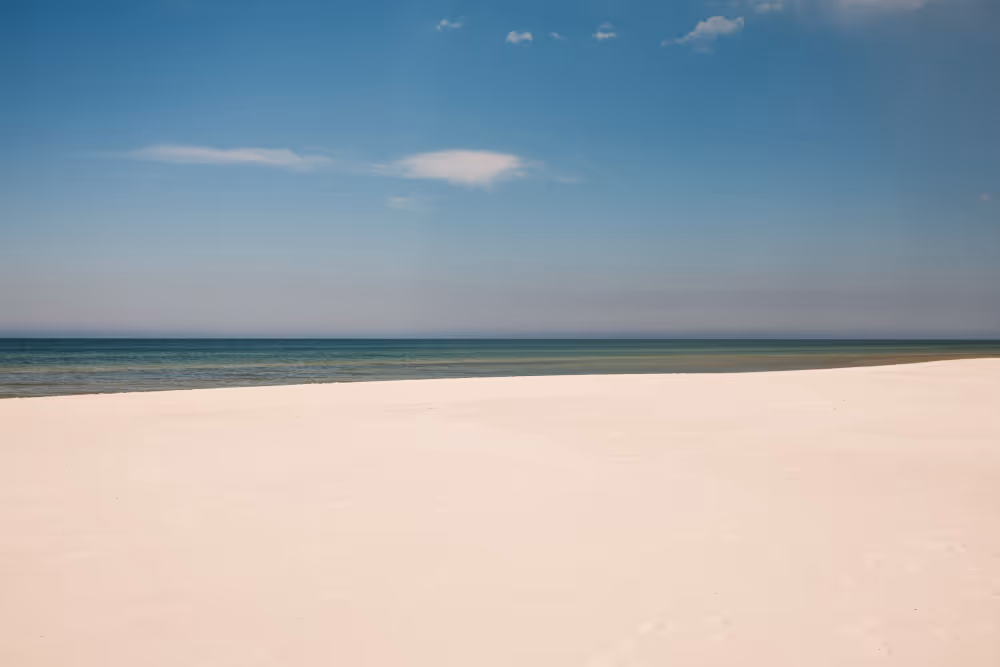 environment image