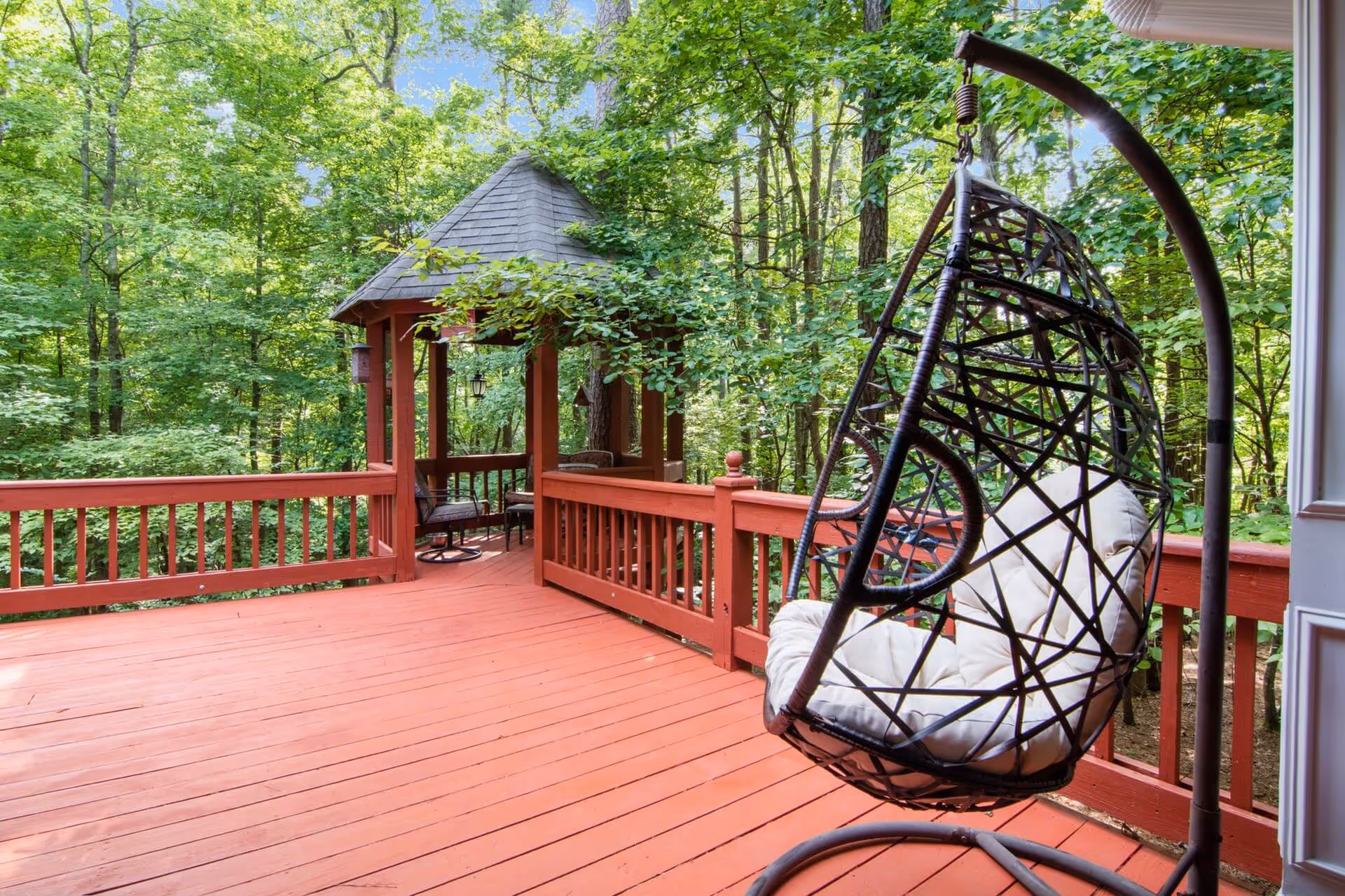 Backyard Oasis