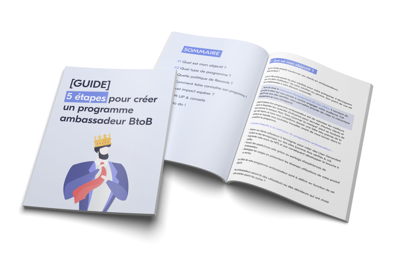 Guide pour créer un programme ambassadeur