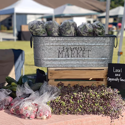 Local Farm Markets - Farm Webflow Template