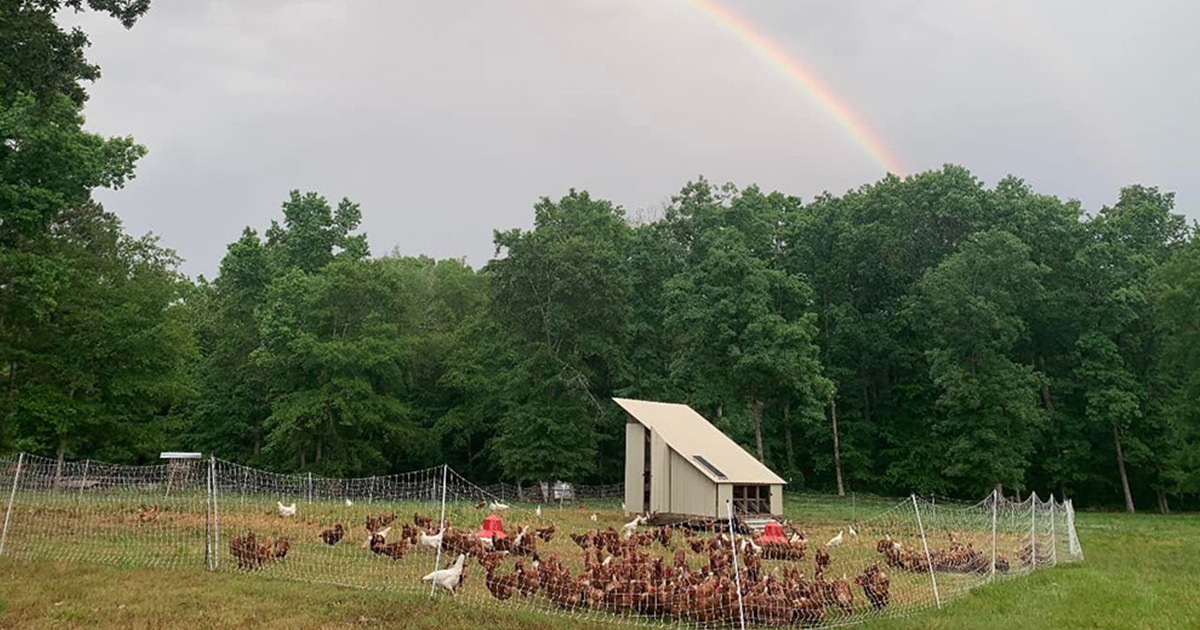 Southern Pine Farm photo