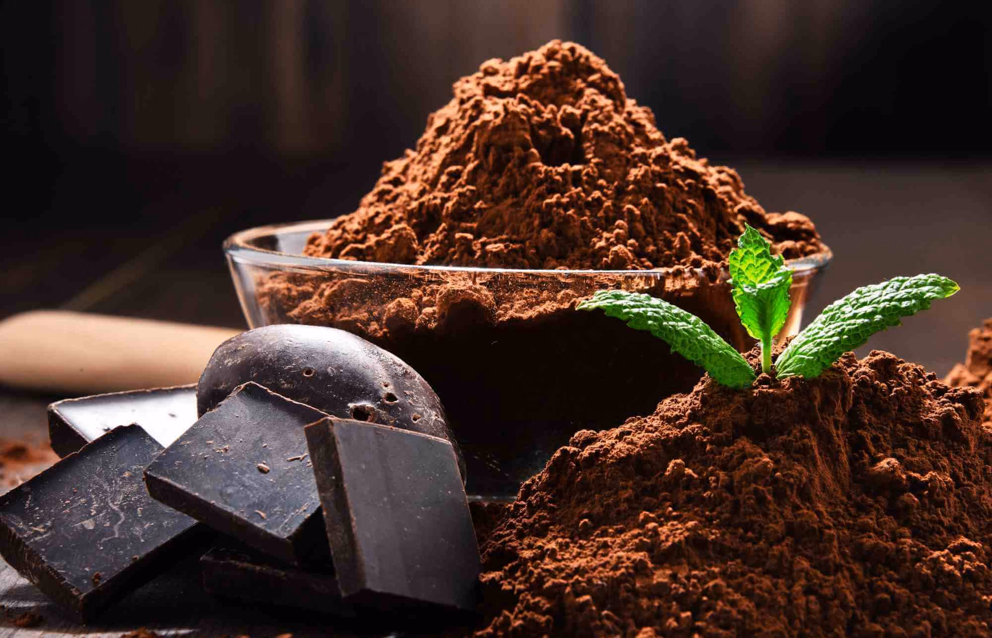Productos de cacao