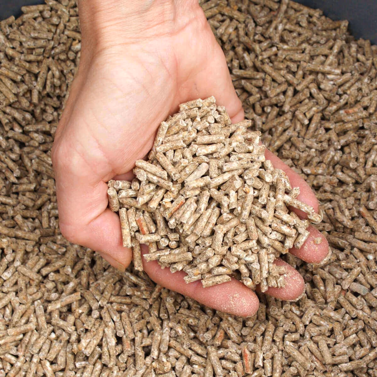 Animal Feed