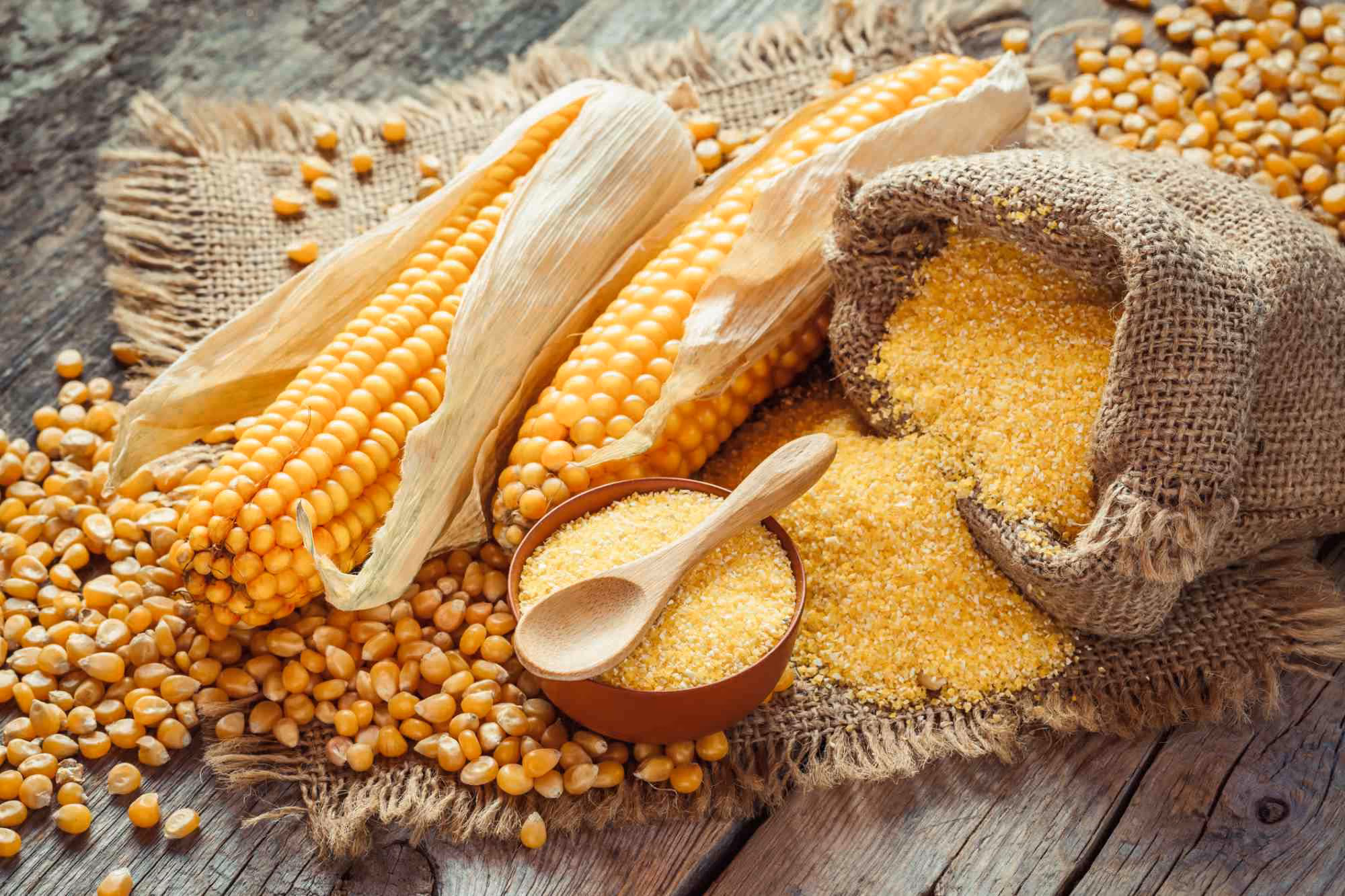 NIR-Analyse der Rezeptbestandteile