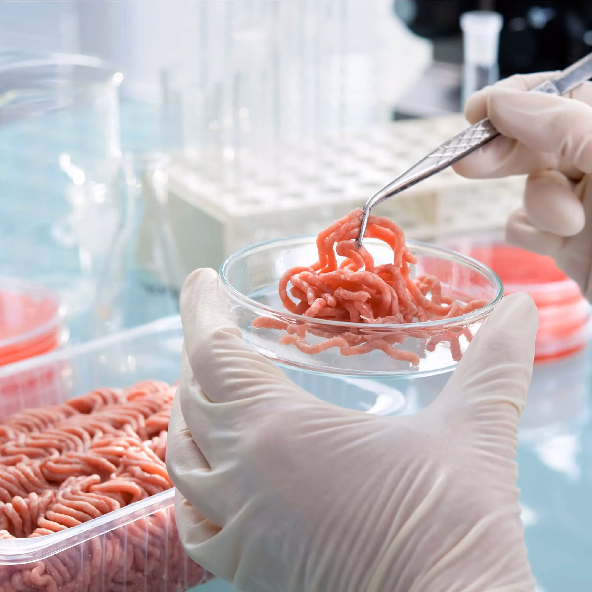 Moisture & Compositional Analysis of Ground Meats