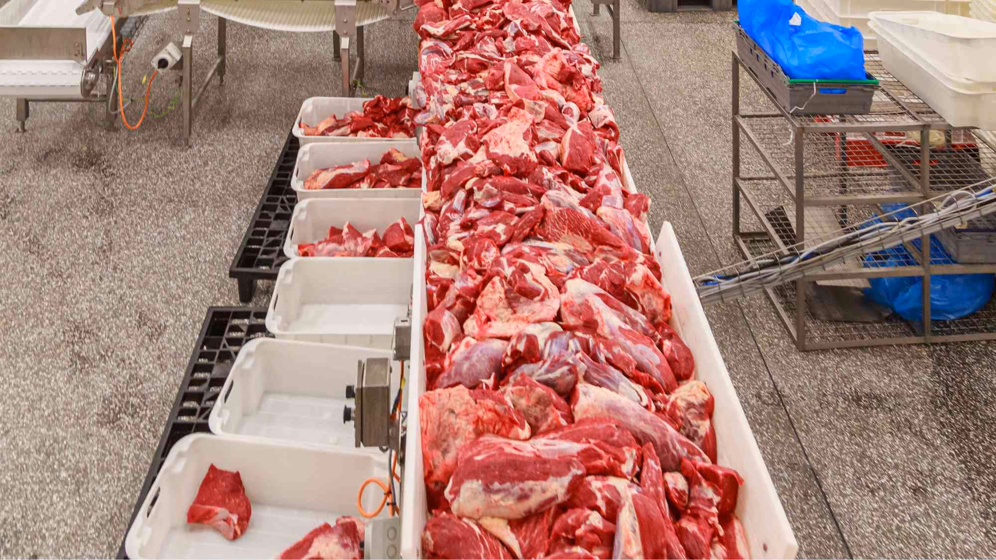 Beef Cuts