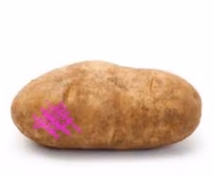potato defect