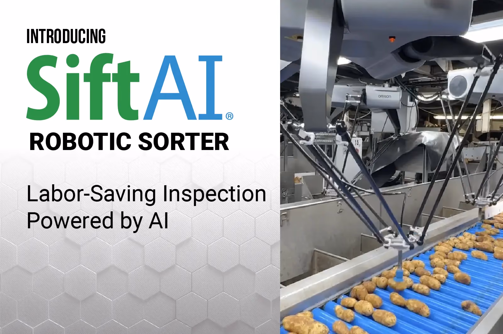 El clasificador robótico de patatas basado en inteligencia artificial mejora la clasificación de los productos y reduce los costos