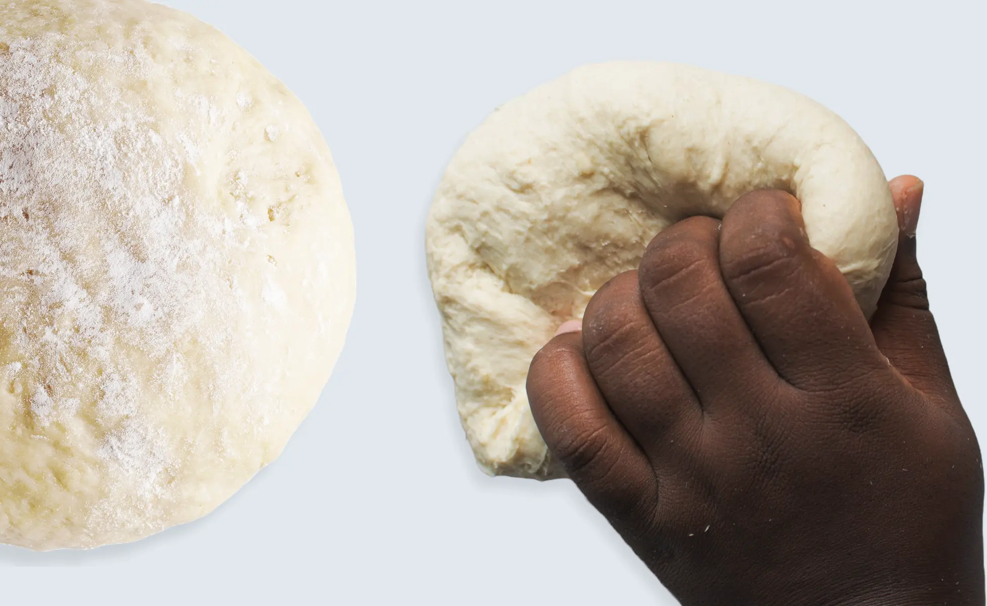 The Science Behind Dough Elasticity