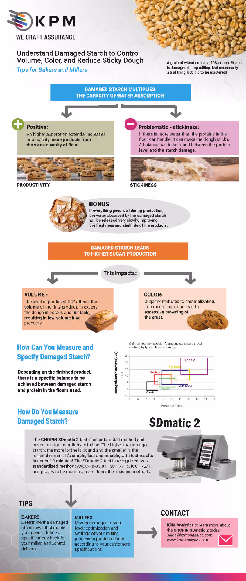 Understand Damaged Starch infographic