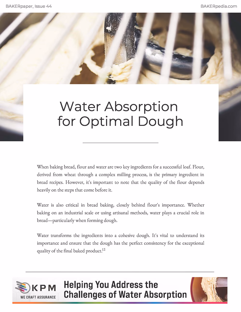 Water Absorption for Optimal Dough - BAKERpaper
