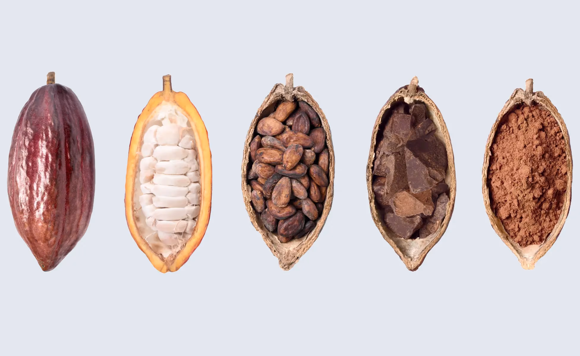 How Manufacturers Can Beat the Cocoa Crisis in the UK and Beyond