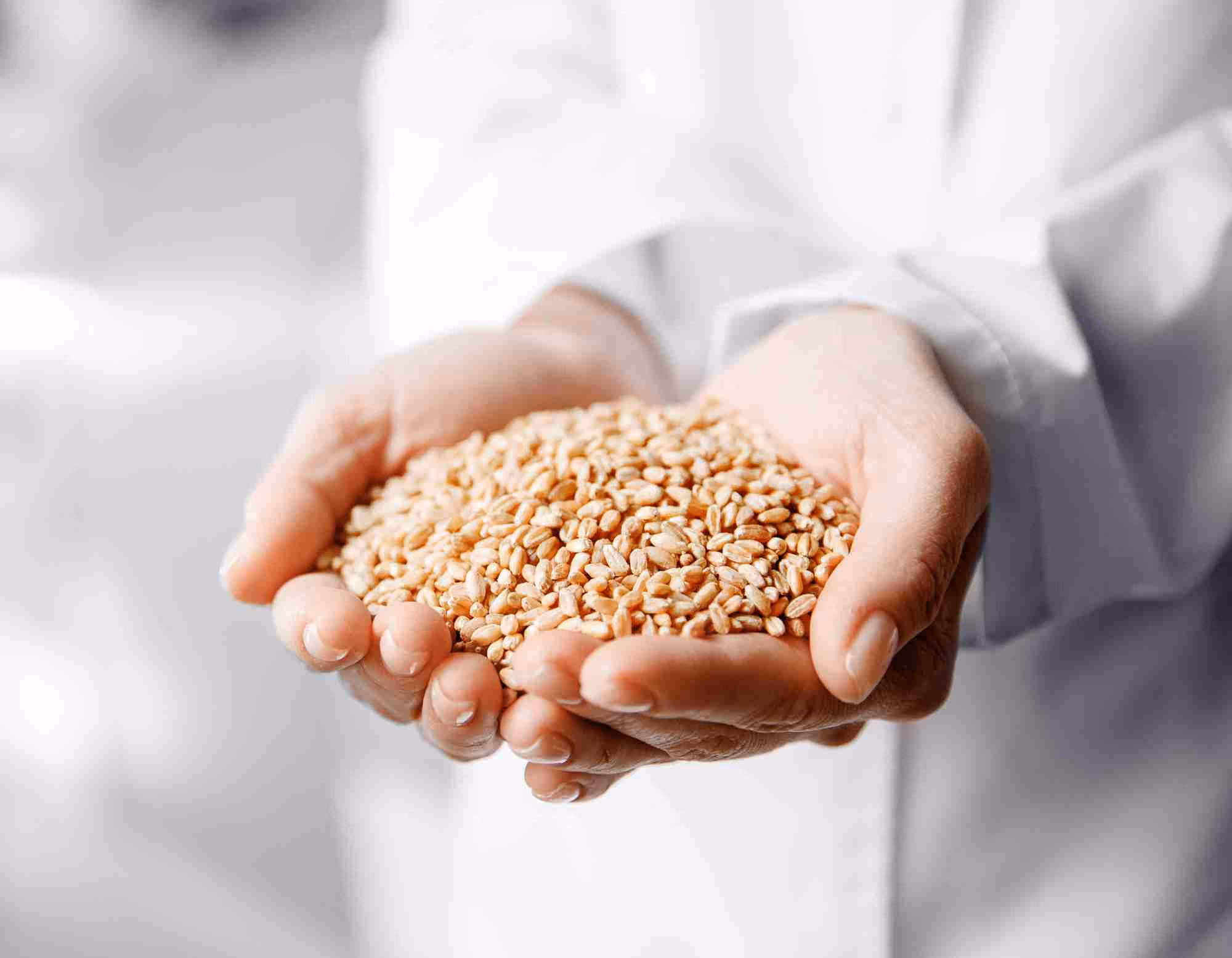 Grain for Milling
