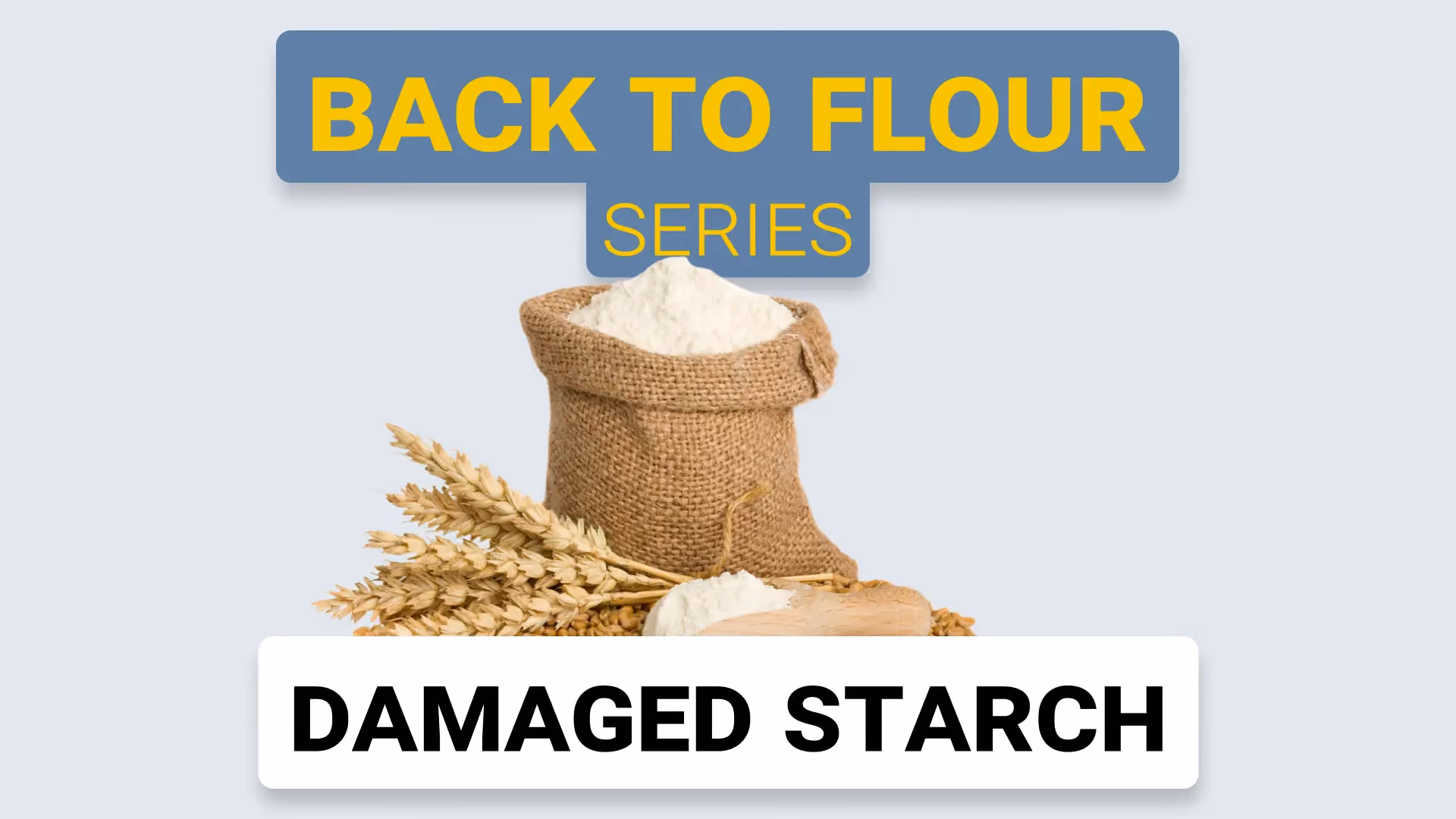 Damaged Starch