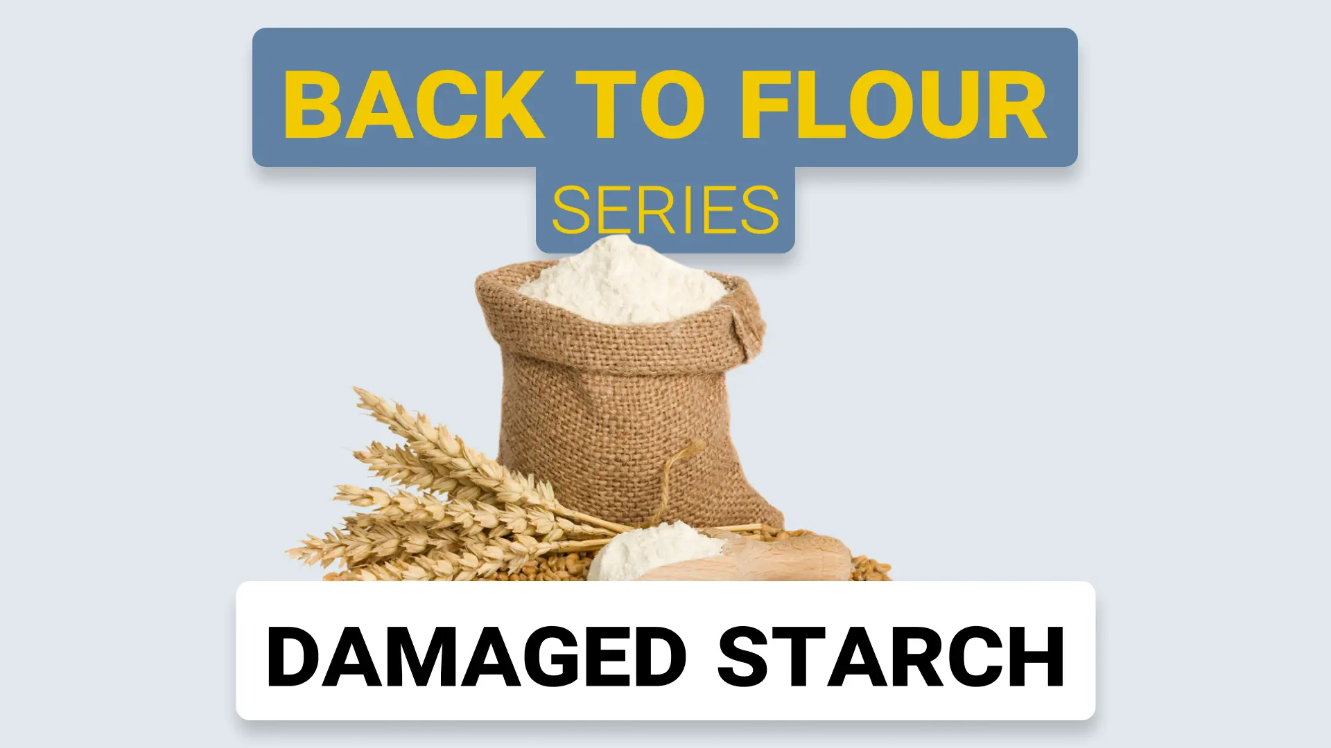 Damaged Starch