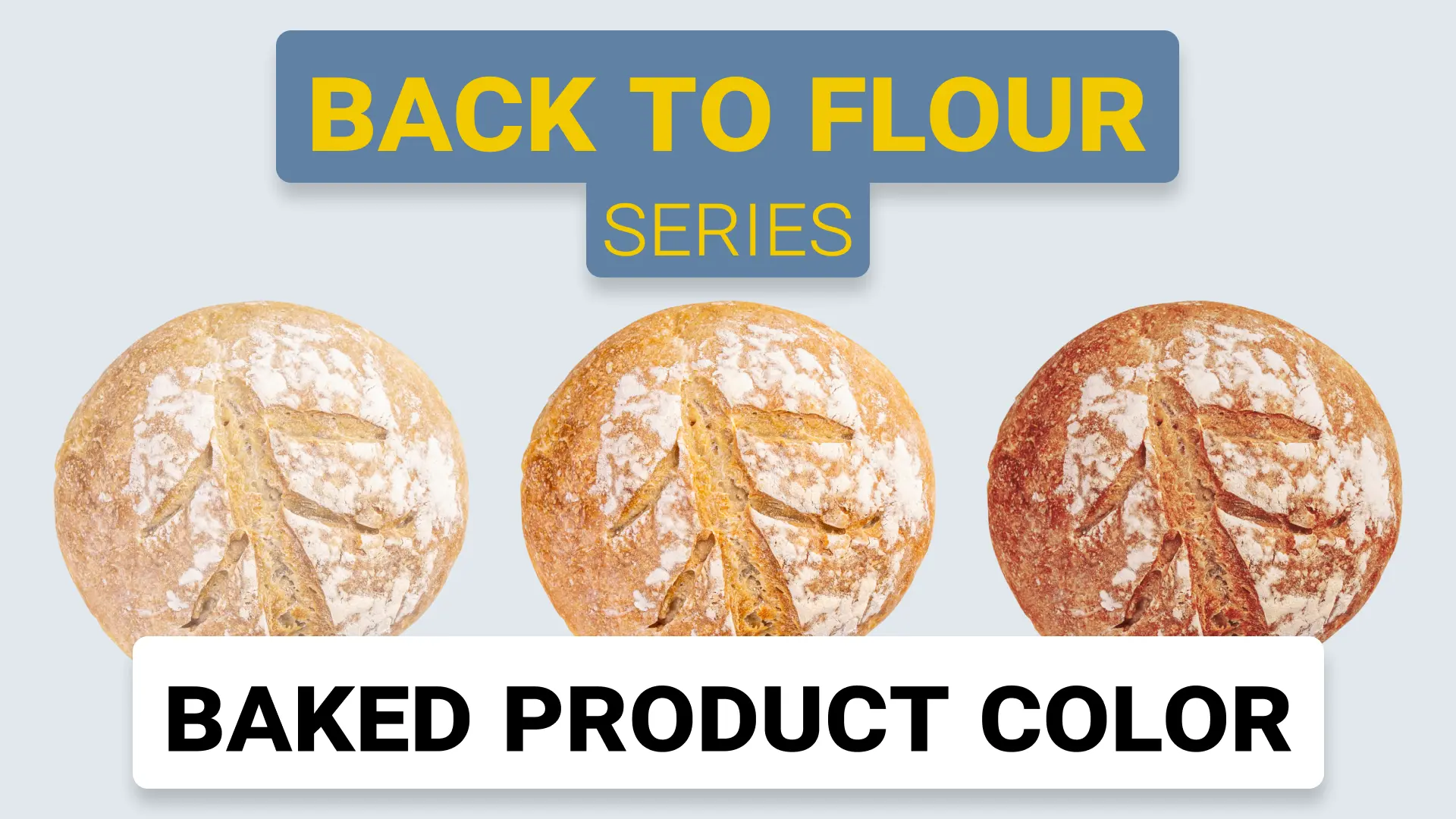 Understanding What Impacts 100% of Baked Product Color