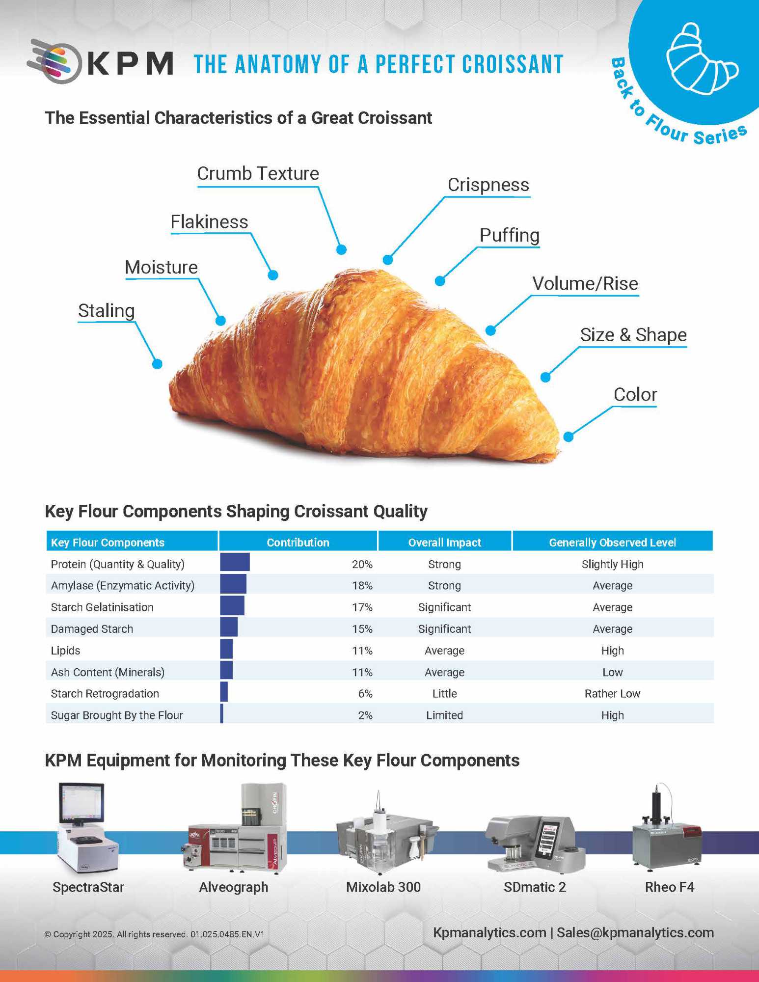 The Anatomy of a perfect Croissant
