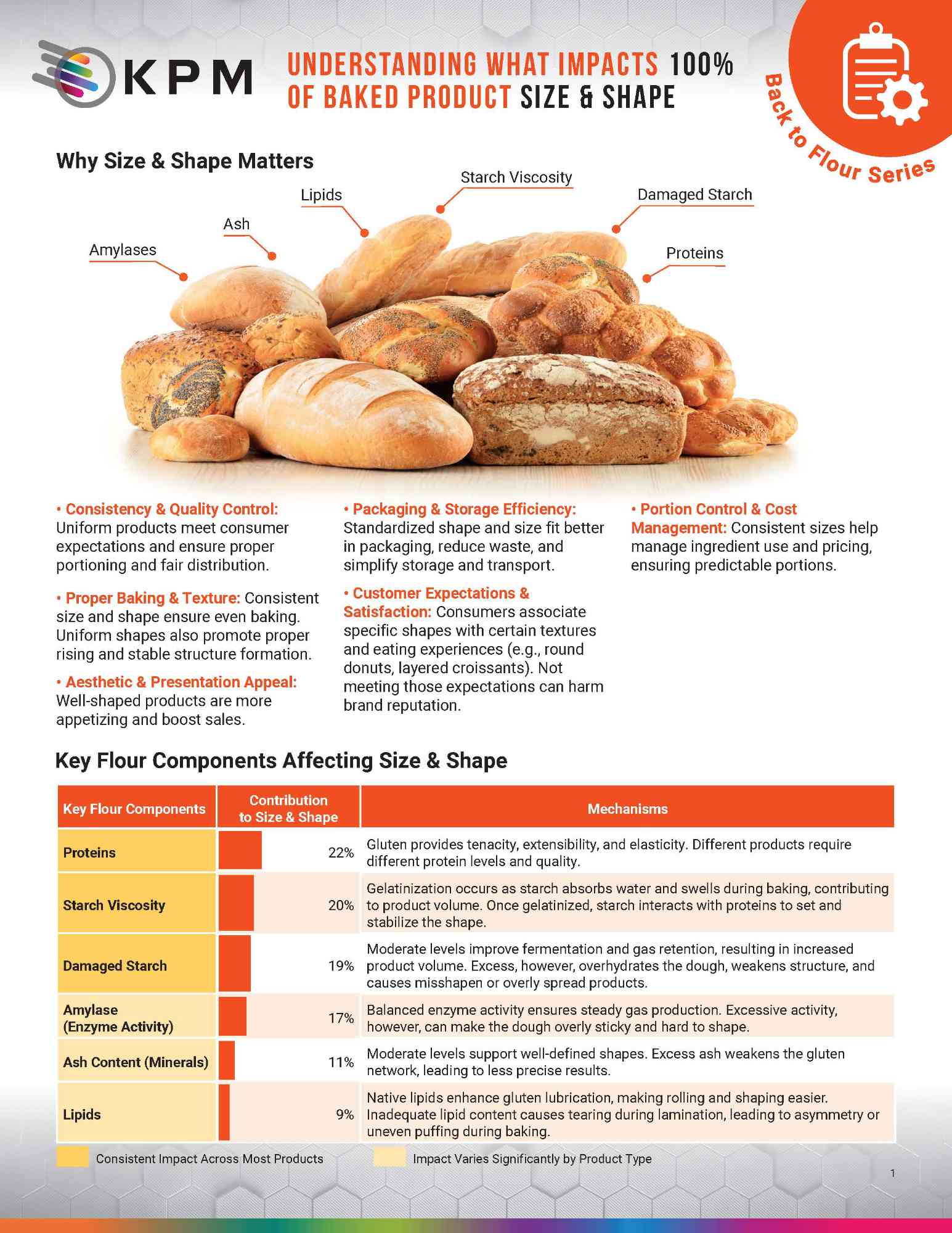 PDF application note - Understanding What Impacts 100% of Baked Product Size and Shape