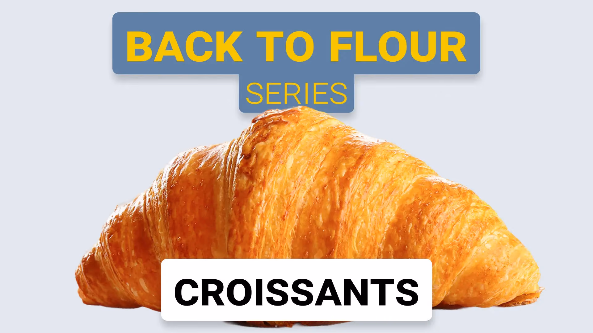 Zurück zu Mehl — Video zur Croissant-Qualität erklärt