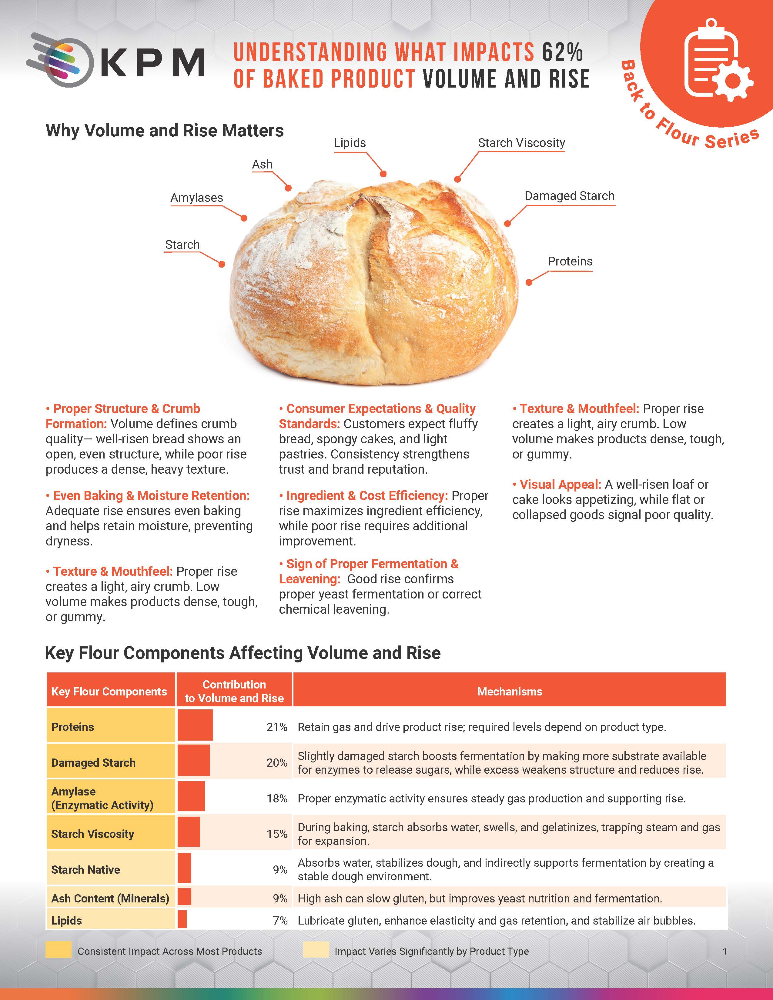 Back to Flour What Impacts 62% of Baked Product Volume & Rise