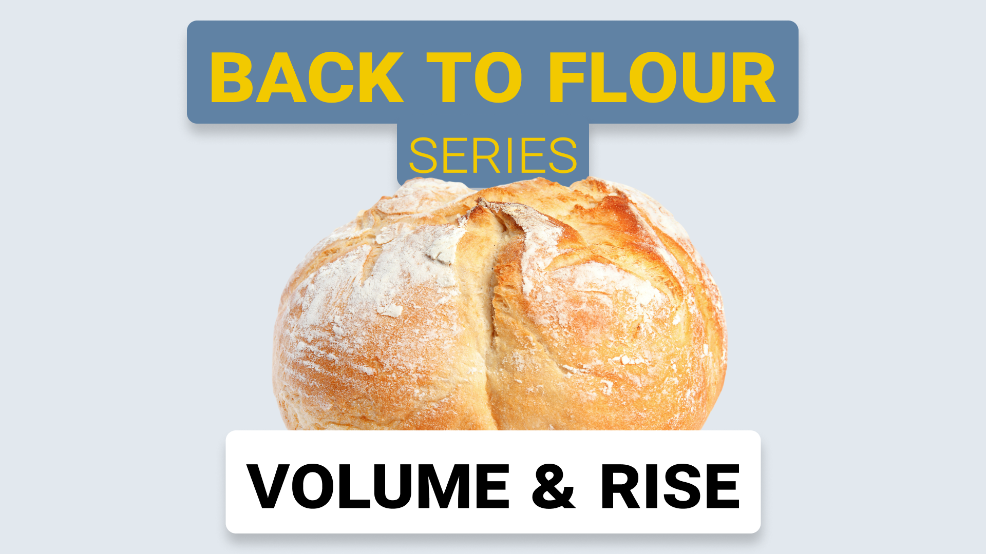 Back to Flour - Volume & Rise of Baked Products Video