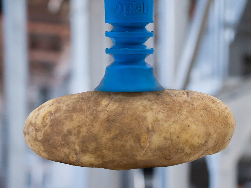 SiftAI® Robotersortierer für Kartoffeln