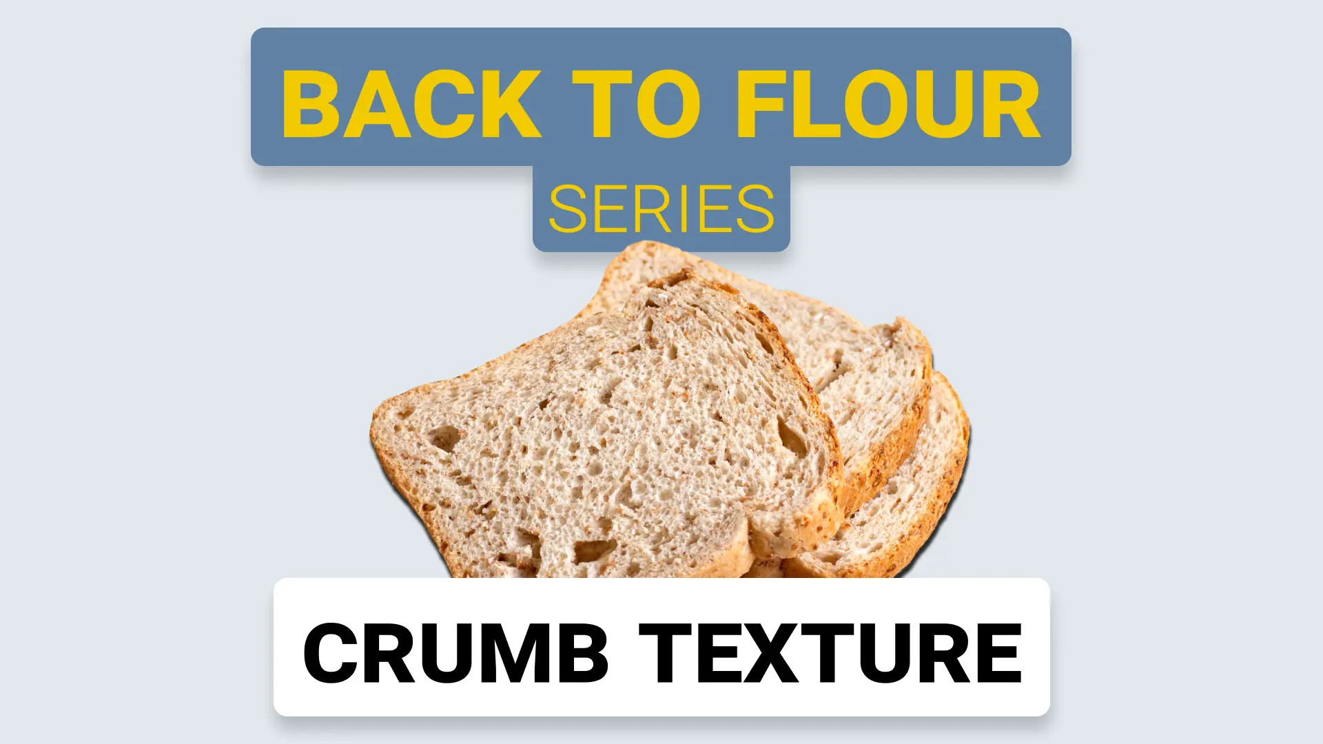 Crumb Texture: The Signature of Quality