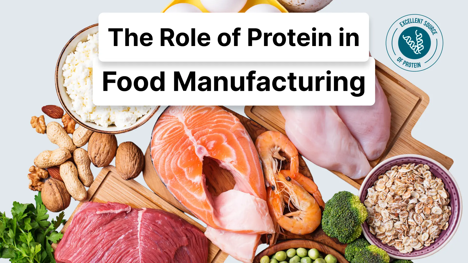 Bulking Up Your Products – The Role of Protein in Food Manufacturing