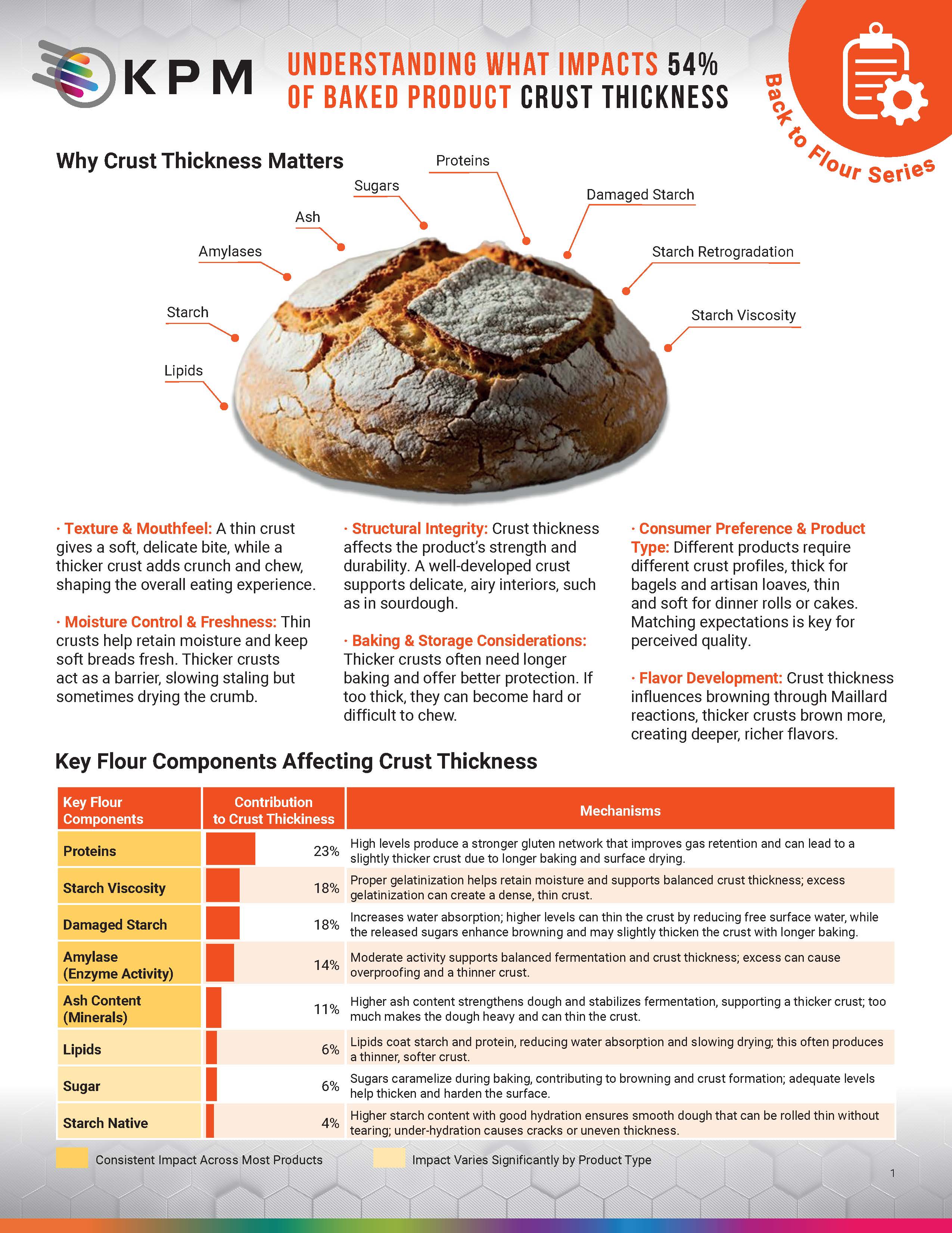 作为 Back to Flour 系列的一部分，本次对话深入探讨了烘焙的复杂性，重点是面团的膨胀以及影响外壳形成的因素，例如温度和时间。