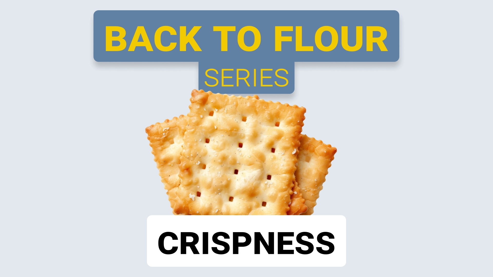 Part of the Back to Flour Series, this post shows how specific flour components influence product traits of baked goods and snack foods.