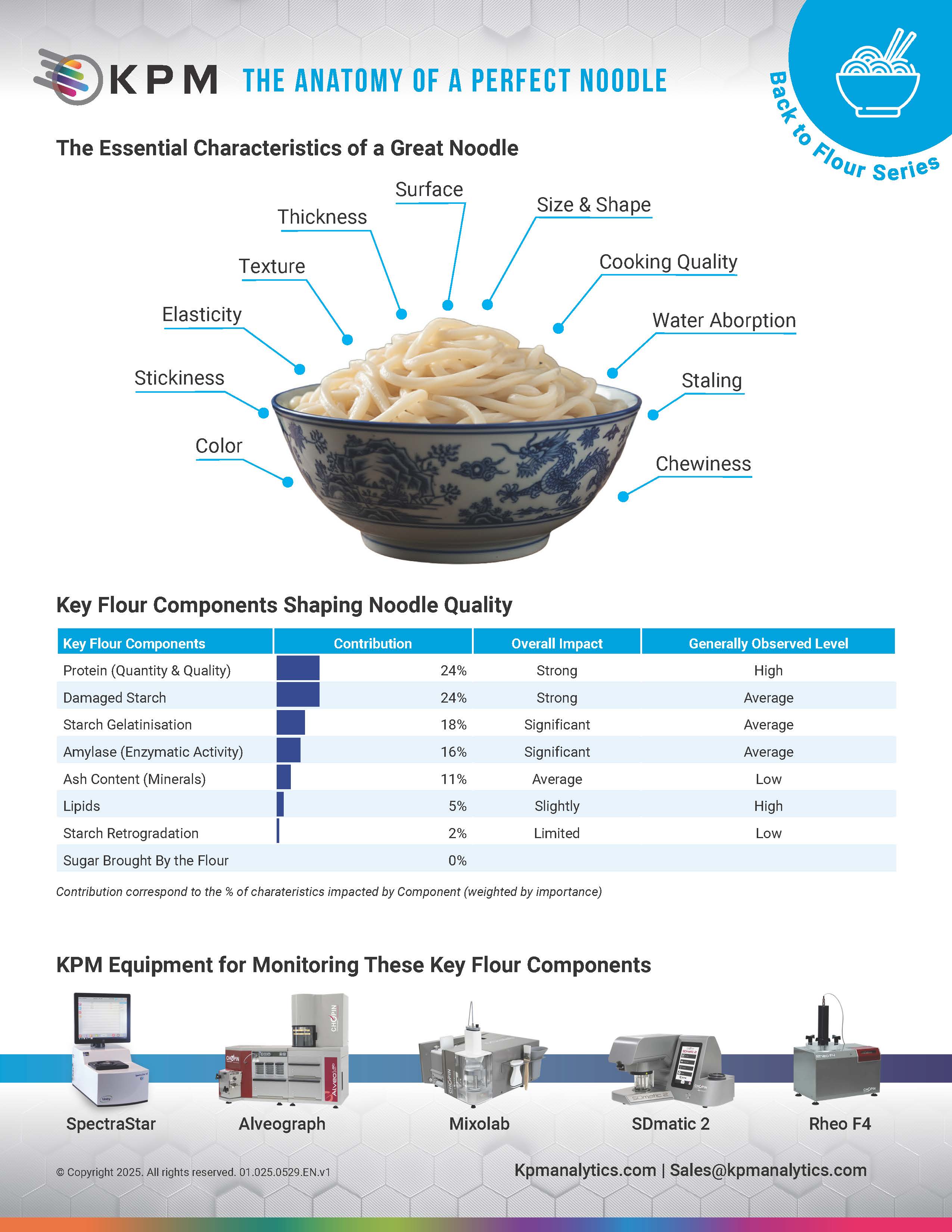 Back To Flour anatomie d'une nouille parfaite