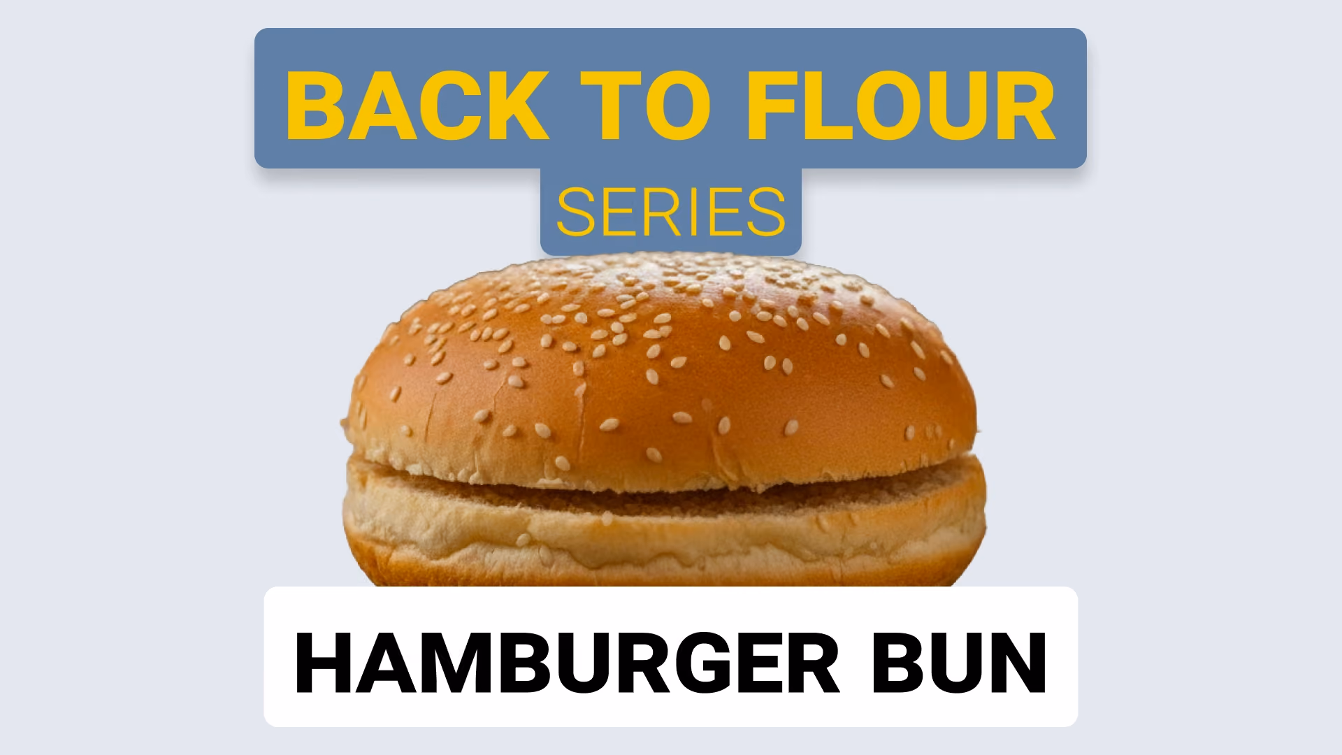 Hamburger Buns: When Flour Shapes Softness, Volume, and Performance