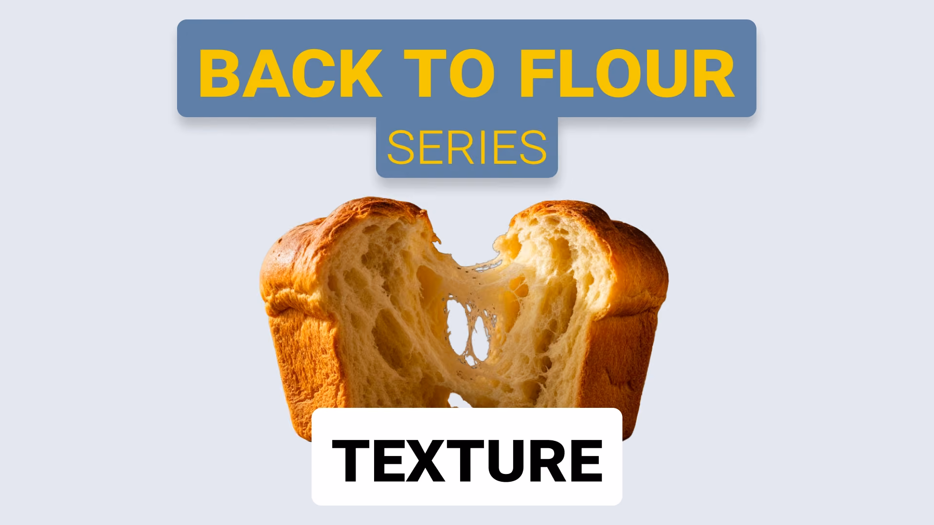 Softness in Baked Products: How Flour Keeps Products Tender Over Time