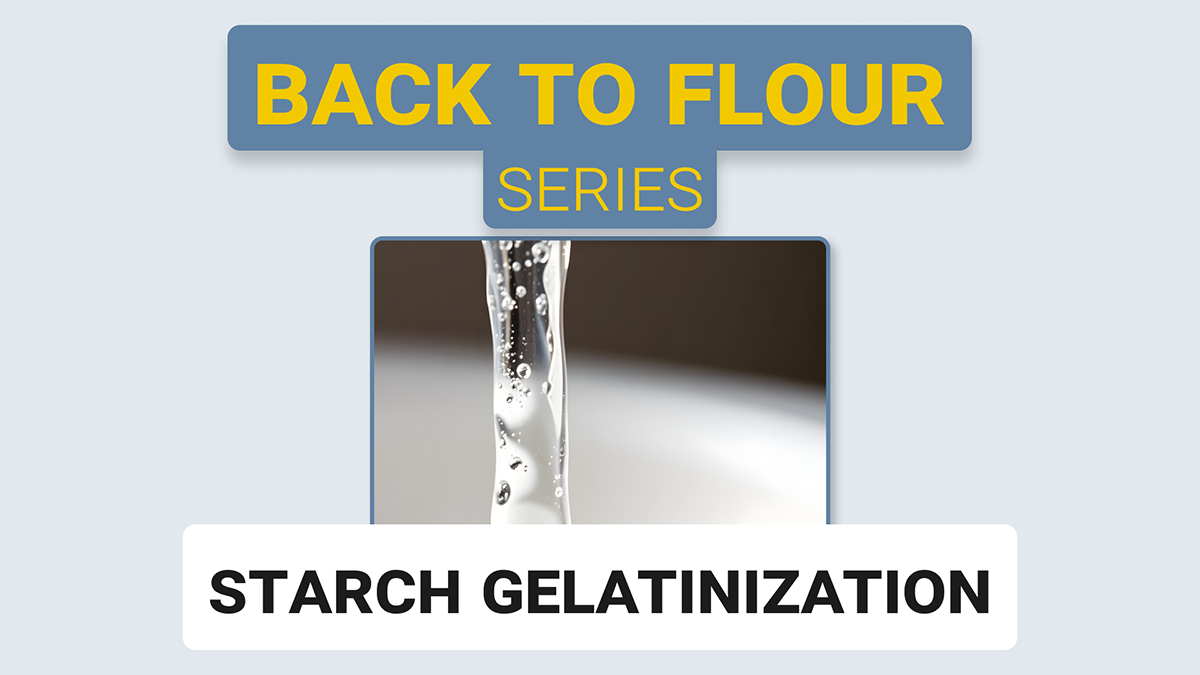 Starch Gelatinization: When Heat and Water Activate Flour