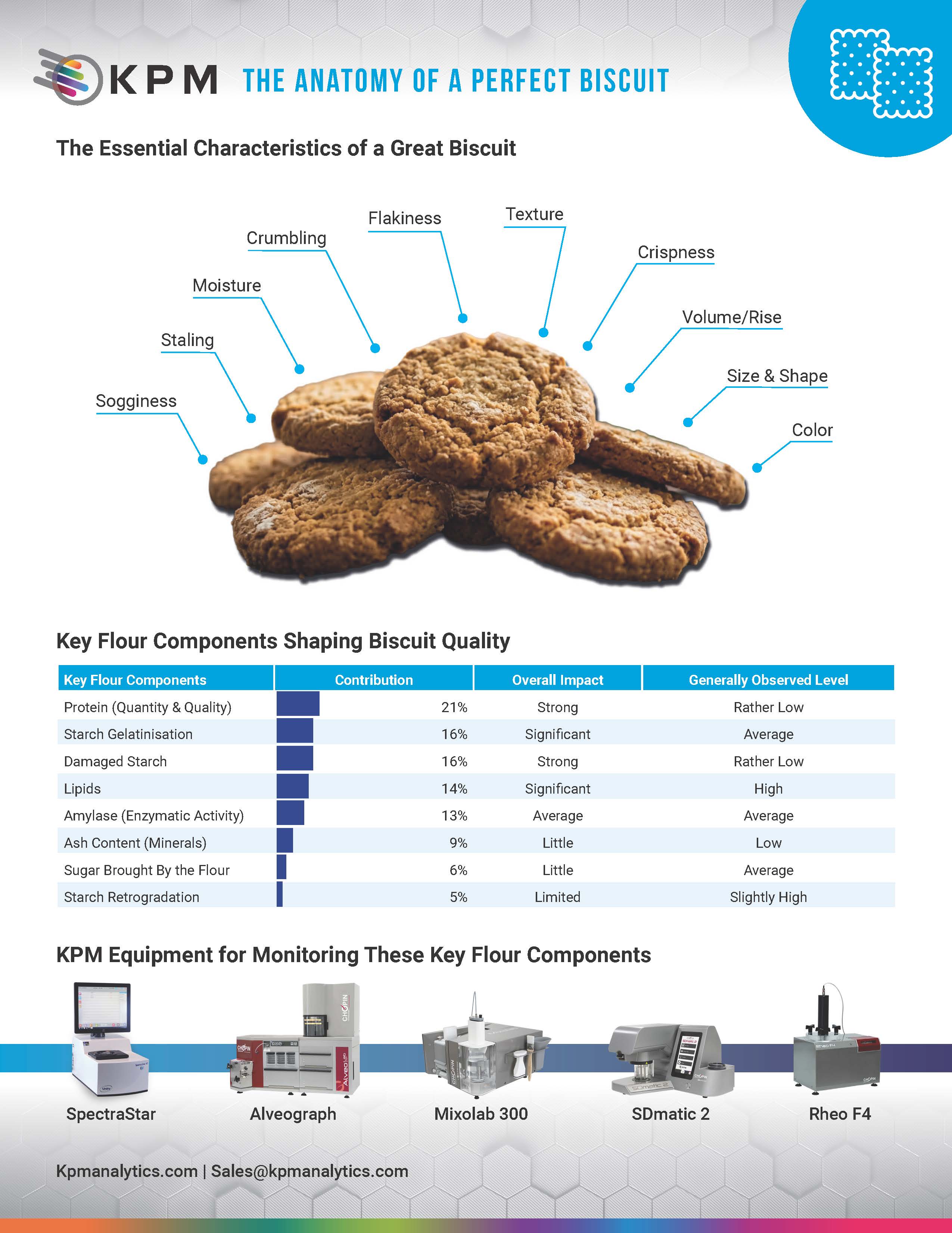 La anatomía de una galleta perfecta