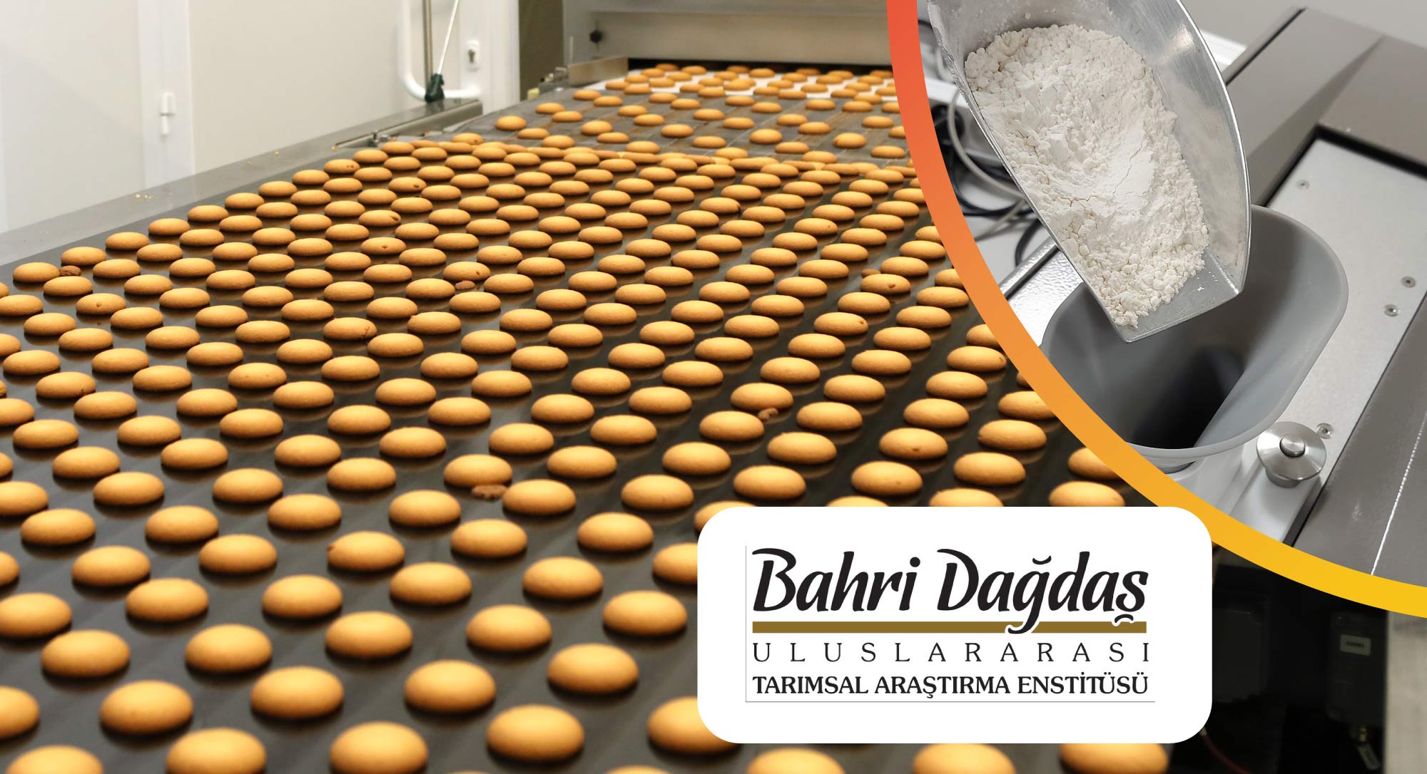 Projektowanie idealnego biszkoptu z Mixolab