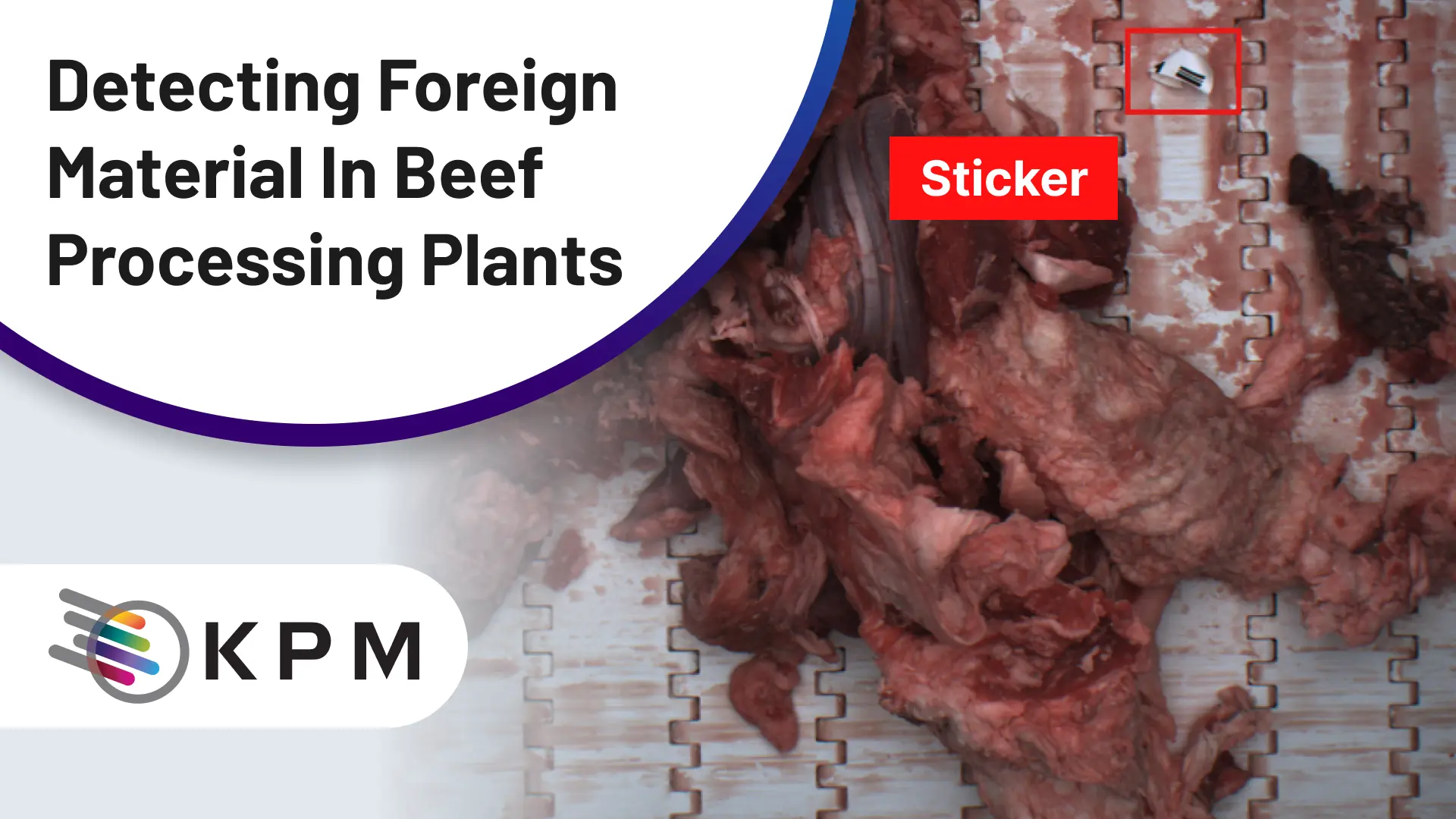 Detecting Foreign Material in Beef Processing Plants