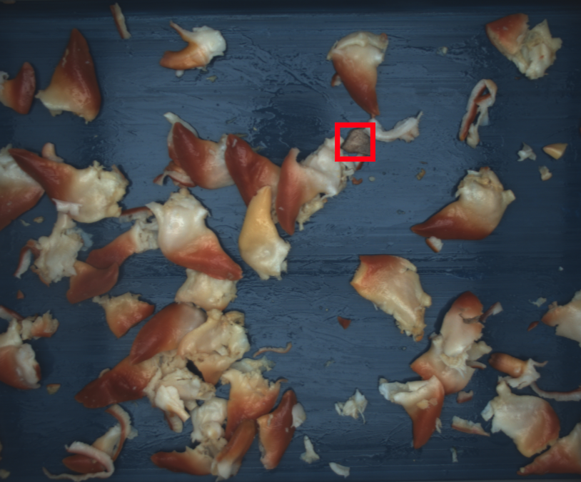 cardboard detected next to clams on a production line