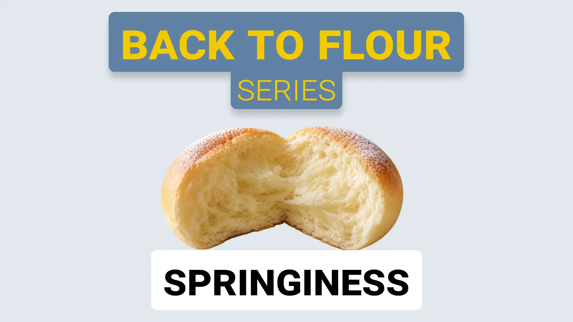 Springiness in Baked Products: The Flour Factors That Make the Difference